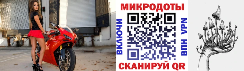 Купить где  Ивдель  Псилоцибиновые грибы мухоморы 